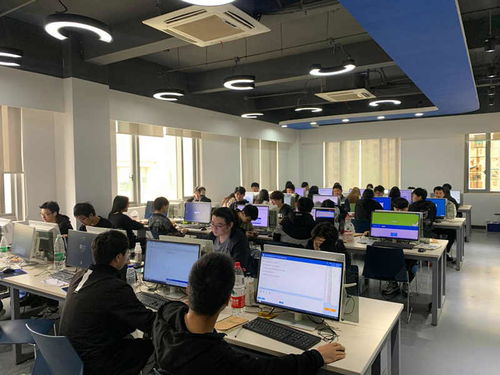 強技能 提成績——我院扎實推進18級學生技能高考實訓與計算機技術(shù)培訓工作